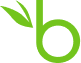 BambooHR