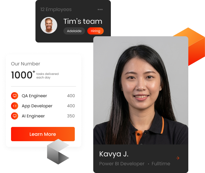 Power BI Developer
